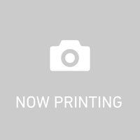 少女☆歌劇 レヴュースタァライト スズダルキャット ぬいぐるみマスコット