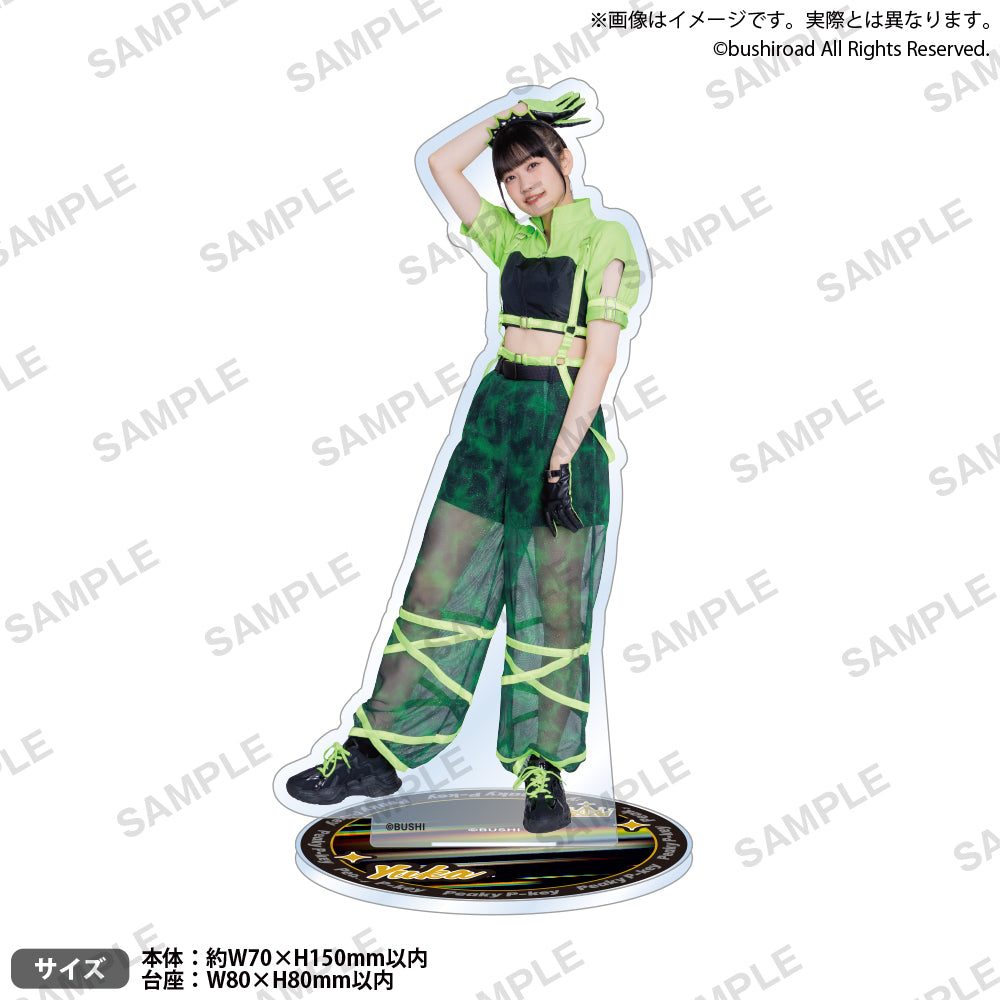 DJ_PP_FORCE_akst_3_ari.jpg?v=