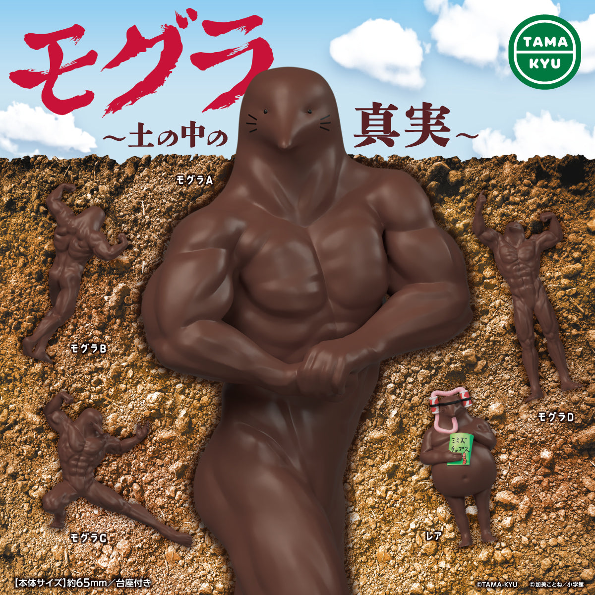TAMAKYU_mogura_POP_OL-1.jpg?v=
