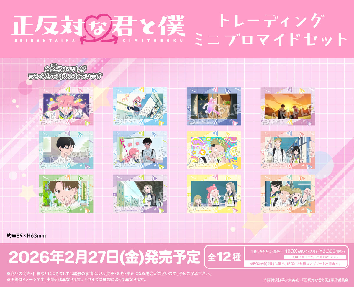 04_seihantai_TR_minibromide_an