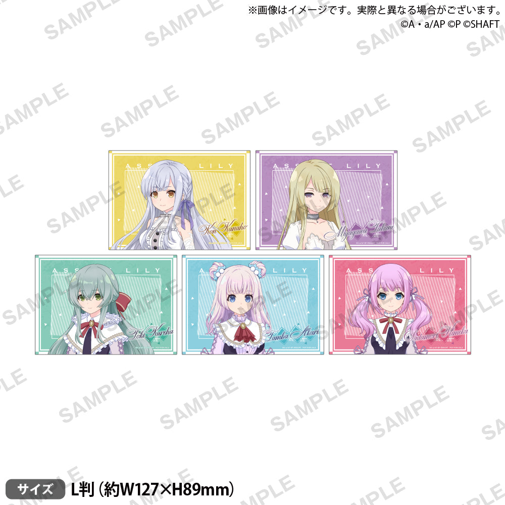 心の開放フィリィア 3枚セット ヴァンガード トレーディングカード