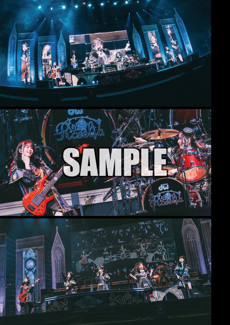 【(14)】Roselia LIVE TOUR「Rosenchor」 OFFICIAL PHOTOBOOK