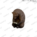 【限定99セット】TAMA-KYU　読書　全種コンプリートセット