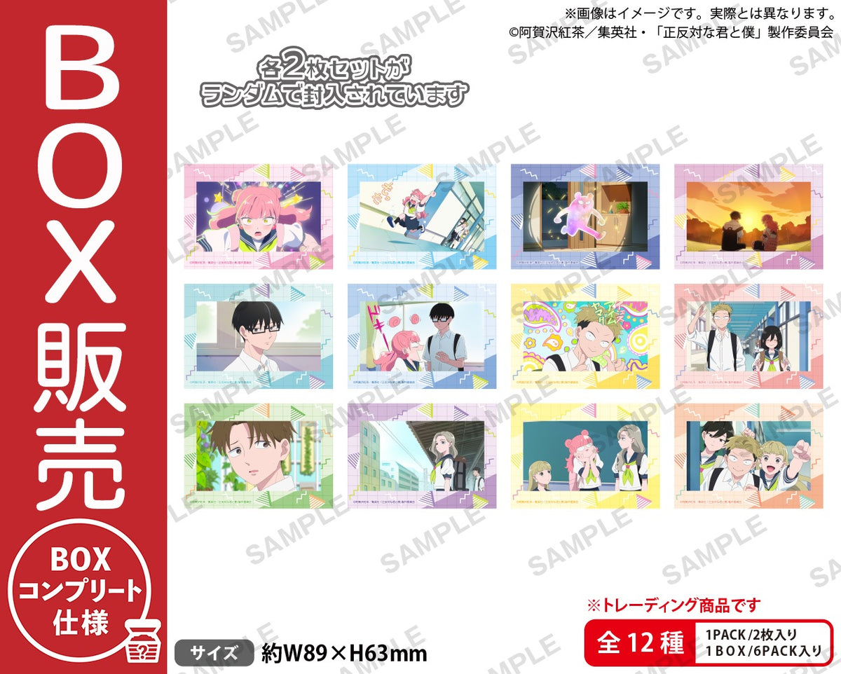 郁恵と真子　プロマイド　デッドストック TVアニメ『正反対な君と僕』 トレーディングミニブロマイドセット【BOX