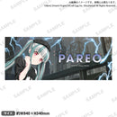 BanG Dream! 12th☆LIVE DAY3:RAISE A SUILEN「REVEAL」　フルグラフィックタオル パレオ