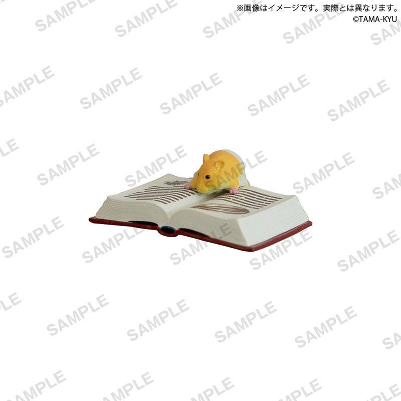 【限定99セット】TAMA-KYU　読書　全種コンプリートセット
