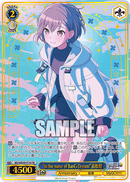 ヴァイスシュヴァルツ BanG Dream! 10th Anniversary LIVE「In the name of BanG Dream!」 スペシャルカードセット