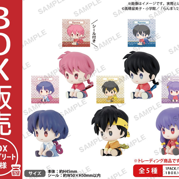 らんま1/2 ぺたっとねじまきますこっとBOXver.【BOX】｜ブシロード