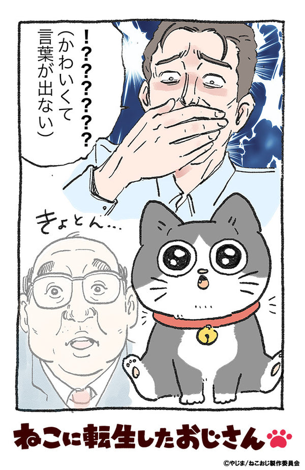 ブシロード トレーディングカード コレクションクリア「ねこに