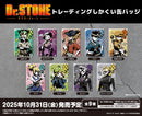 TVアニメ「Dr.STONE」 トレーディングしかくい缶バッジ【BOX】