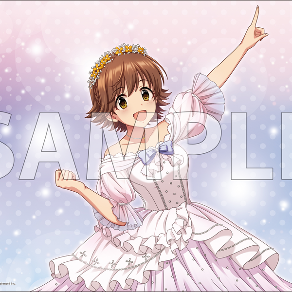 ブシロード ラバーマットコレクション V2 エクストラ Vol.245 アイドル