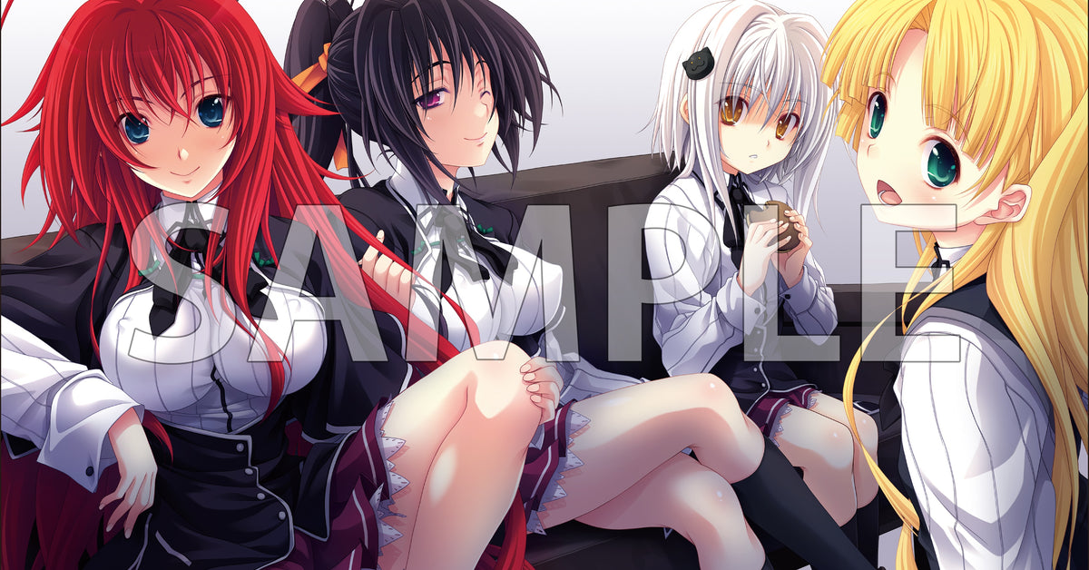 富士見ファンタジア文庫 ハイスクールD×D ラバーマット ブシロード ブシロード】ブシロード ラバーマットコレクション V2 Vol.1509