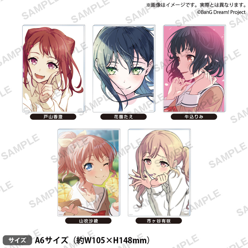 信澤収展アクリルパネル BanG Dream! Vol.2 「花園たえ」｜ブシロード