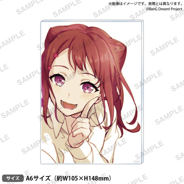 アクリルパネル BanG Dream!Vol.2 | 信澤収展vol.2 -BanG Dream