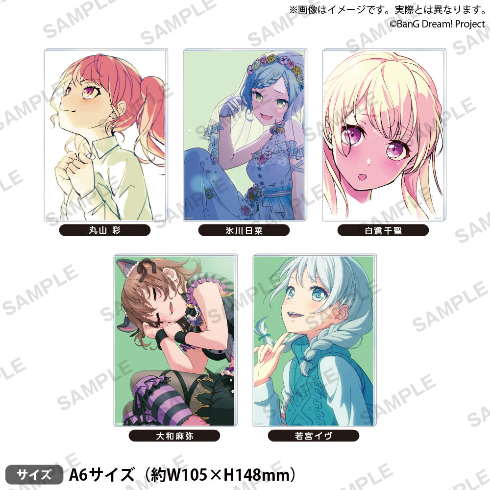 信澤収展アクリルパネル BanG Dream! Vol.2 「丸山彩」｜ブシロード