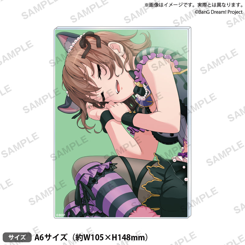 大和 麻弥｜ブシロード オンラインストア