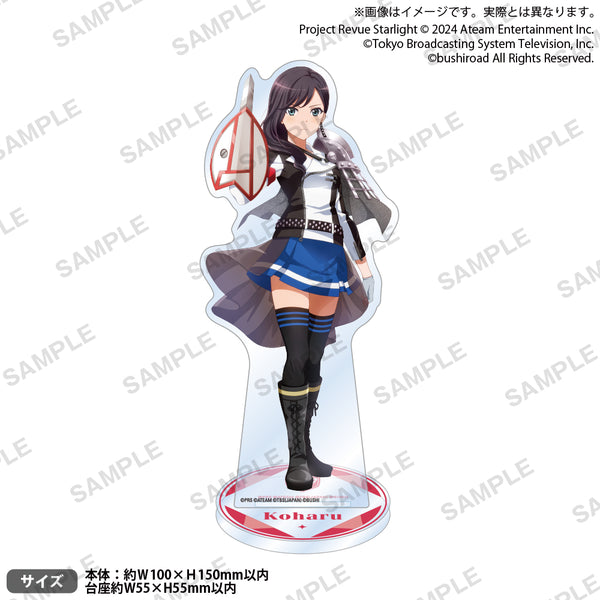 RS_acst_E_01_ari_dde65a95-63d3