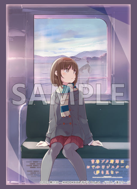 Rascal-Does-Not-Dream-of-a-