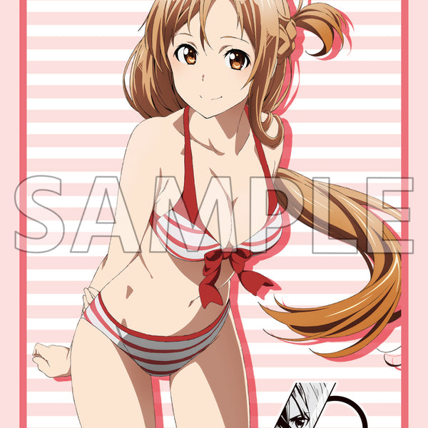 SWORD-ART-ONLINE_10th- SWORD-ART-ONLINE_10th-