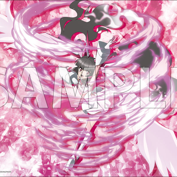 ブシロード ラバーマットコレクション V2 Vol.1872 戦姫絶唱