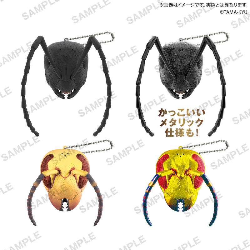 【限定99セット】TAMA-KYU 100倍ズームアリとハチの顔  全種コンプリートセット