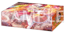 ブシロード ストレイジボックスコレクション V2 Vol.412 東方Project『フランドール・スカーレット』Part.1