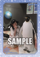 月刊ブシロード 2023年8月号