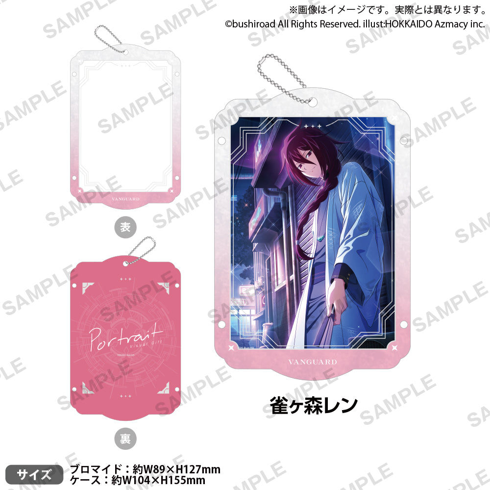 VG2024_bromide_case_vgp_6_ari_