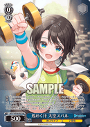 ホロライブプロダクション プロテインバー