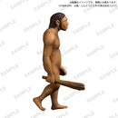 【限定99セット】TAMA-KYU 人類の進化　全種コンプリートセット