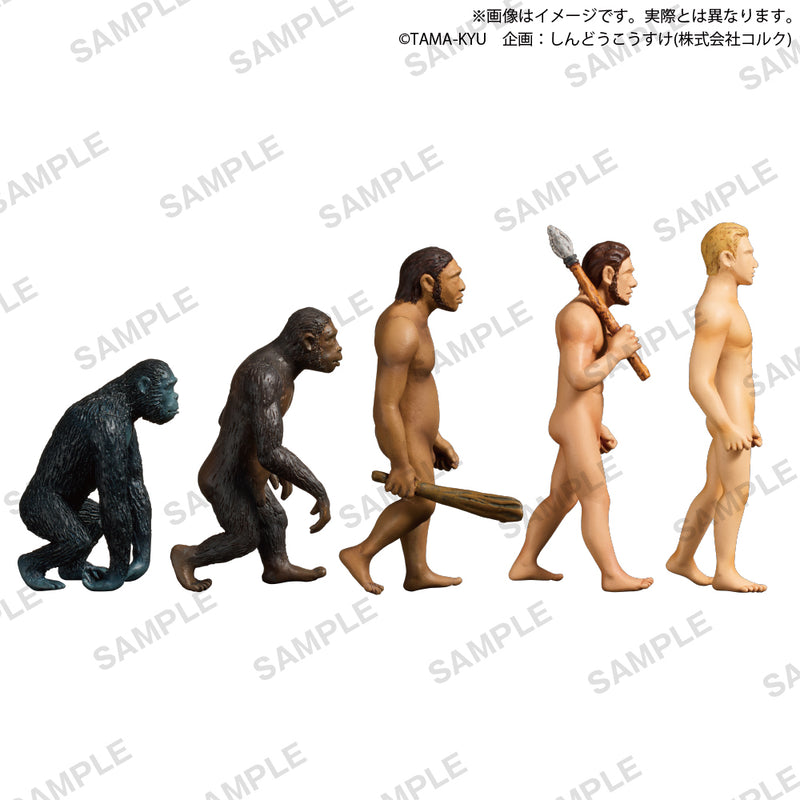 【限定99セット】TAMA-KYU 人類の進化　全種コンプリートセット