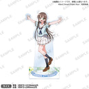 BanG Dream!　アクリルスタンド 花園たえ Poppin‘Party活動10周年記念イラストver. Vol.2