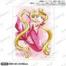 ぴちぴちピッチ×サンリオキャラクターズ　ミニキャンバスアート るちあ×ハローキティ