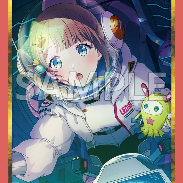 ブシロード スリーブコレクション ハイグレード Vol.5027 プロジェクト