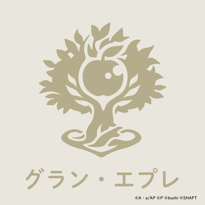 search_1800_1800_icon_16_800x.