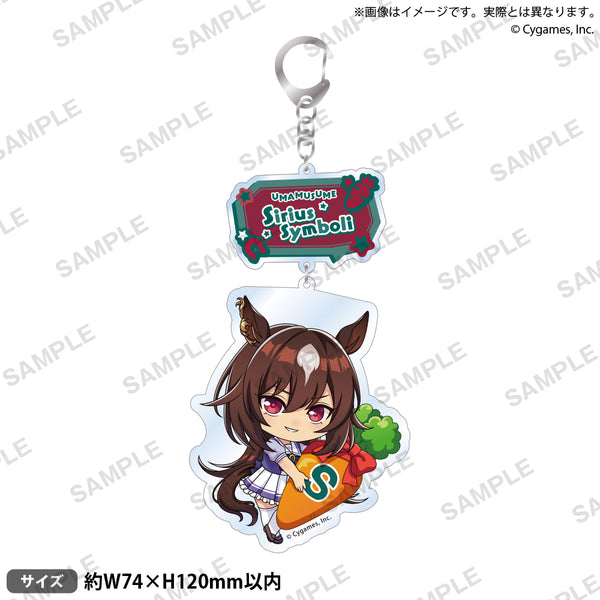 ウマ娘　シリウスシンボリセット ウマ娘 シリウスシンボリセット - メルカリ