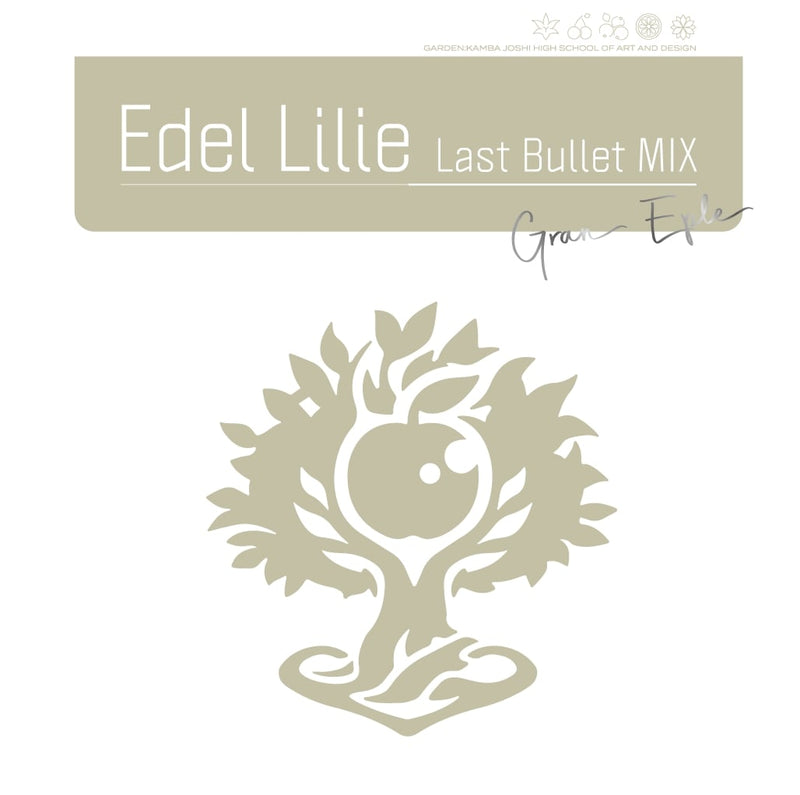 アサルトリリィ Last Bullet 1st Single「Edel Lilie（Last Bullet MIX）」【通常盤C（グラン・エプレver.）】