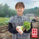 【社内販売】株式会社アルゴナビスのカブ