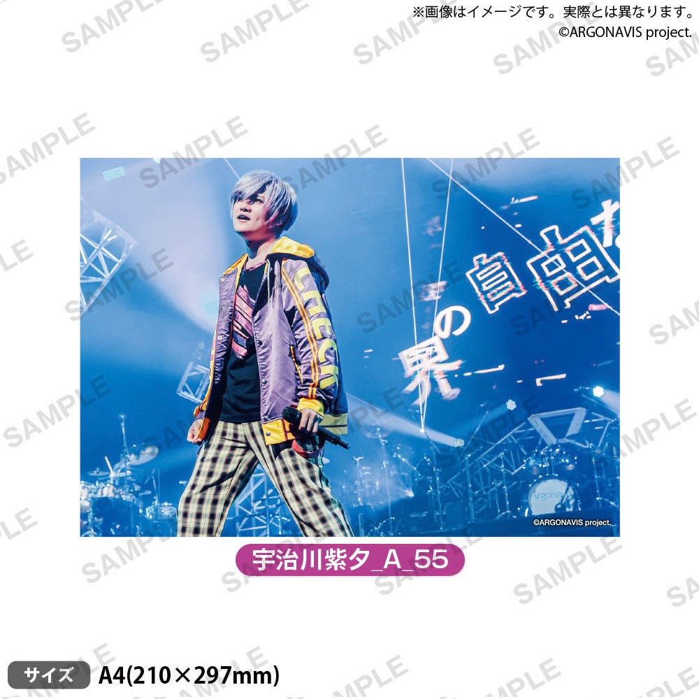 声優・アーティストグッズ ブロマイド・カード類
