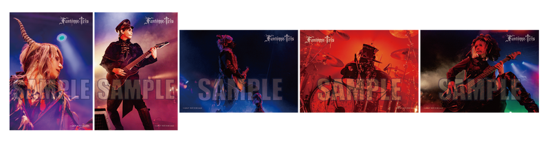 【同時購入セット】Fantôme Iris 1st Album 「miroir」【Blu-ray付生産限定盤】＋【通常盤】