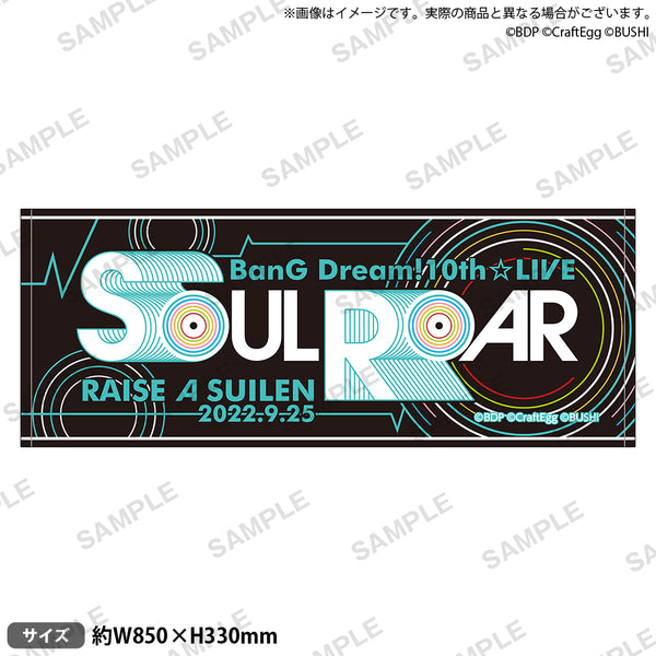 BD_10th_LIVE_towel_4_ras_ari_6