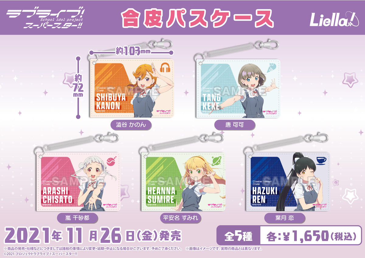 LLSS_passcase_annai_1200x.jpg?