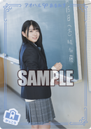 「アオハルあまねす」「1BOX＋9ポケットバインダー」同時購入セット