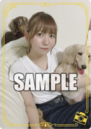 月刊ブシロード 2022年10月号