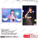 アサルトリリィ トレーディングブロマイド voller Blüte ver.【PACK】