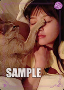 月刊ブシロード 2021年4月号