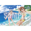 ブシロード ラバーマットコレクションエクストラ Vol.139 とある魔術の禁書目録Ⅲ『インデックス&美琴』