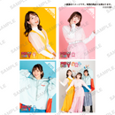 チームY　ブロマイド Aセット